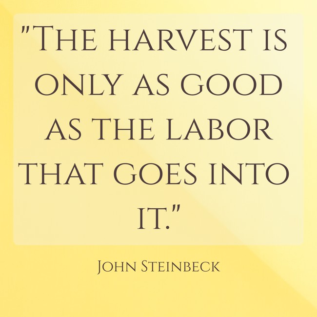 The harvest is only as good as the labor that goes into it. - John Steinbeck