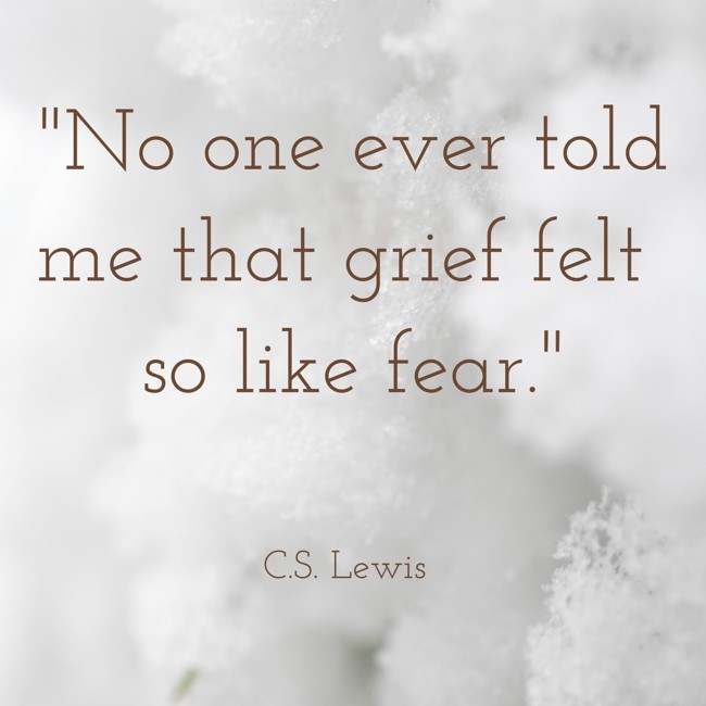 No one ever told me that grief felt so like fear. - C.S. Lewis