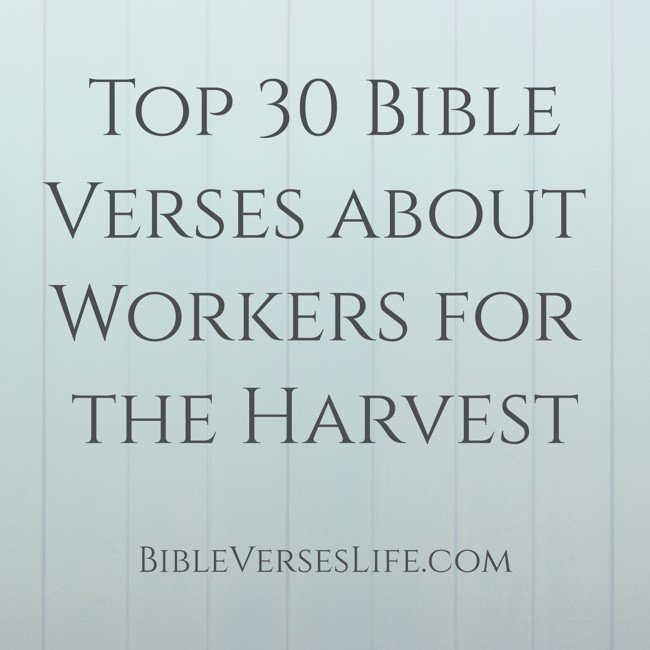 Top 30 Bible Verses about Workers for the Harvest