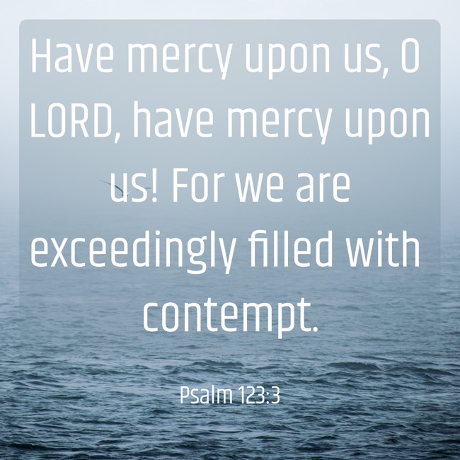 Have mercy upon us, O LORD, have mercy upon us! For we are exceedingly filled with contempt. - Psalm 123:3