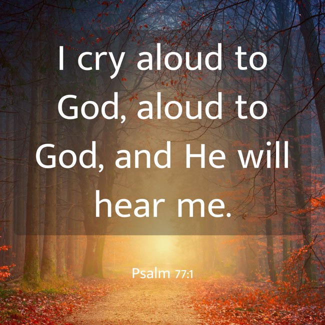 I cry aloud to God, aloud to God, and He will hear me. - Psalm 77:1