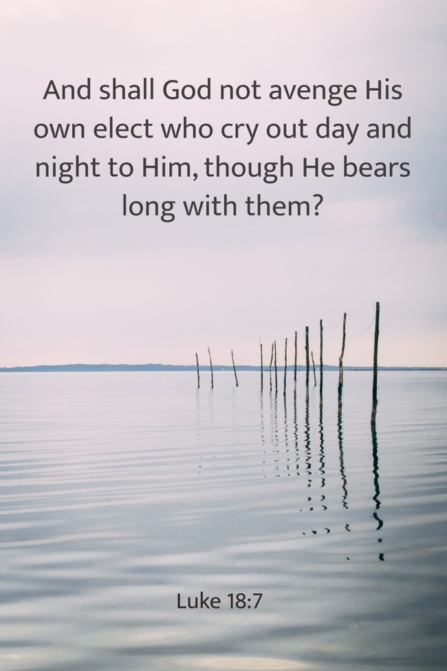 And shall God not avenge His own elect who cry out day and night to Him, though He bears long with them? - Luke 18:7
