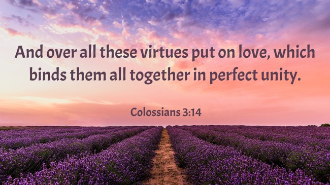 And over all these virtues put on love, which binds them all together in perfect unity. - Colossians 3:14