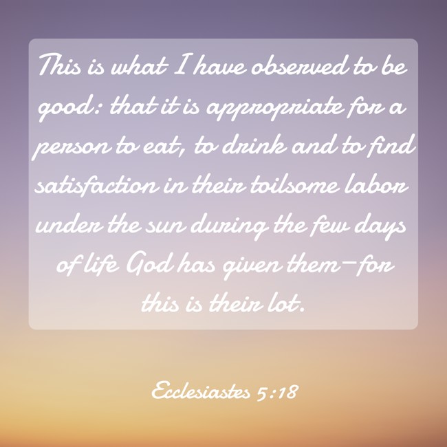 This is what I have observed to be good: that it is appropriate for a person to eat, to drink and to find satisfaction in their toilsome labor under the sun during the few days of life God has given them—for this is their lot. - Ecclesiastes 5:18