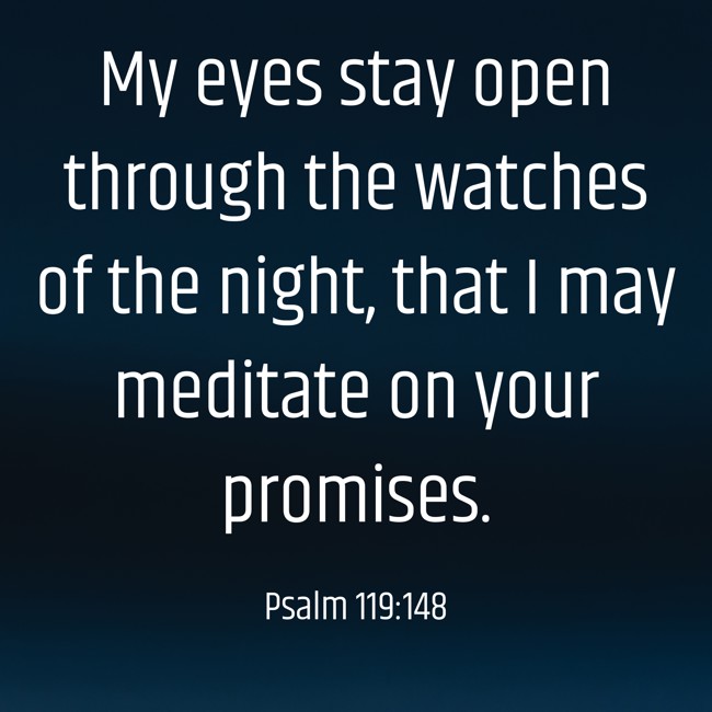 My eyes stay open through the watches of the night, that I may meditate on your promises. - Psalm 119:148