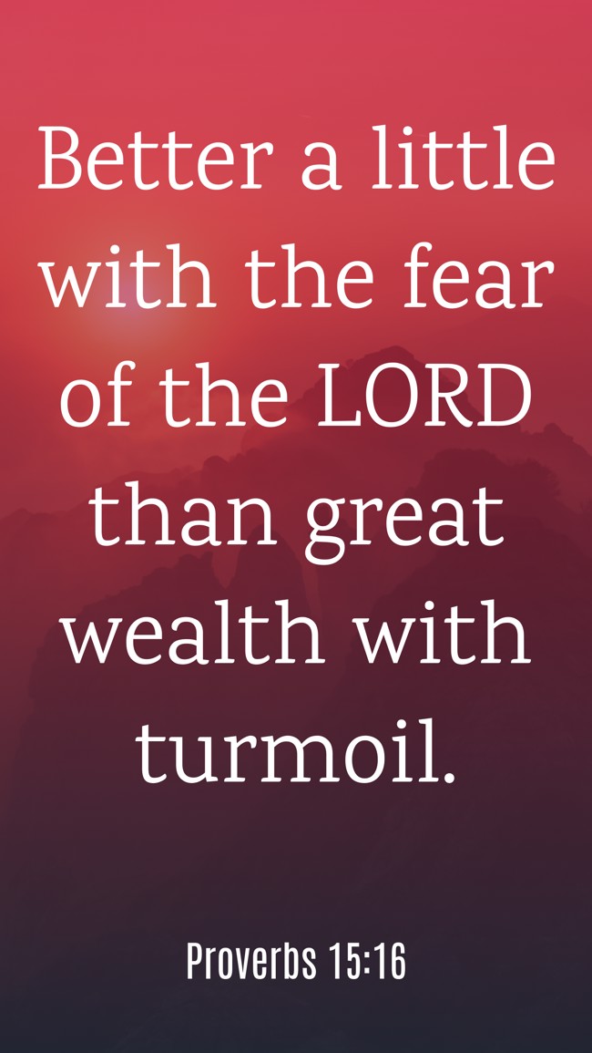 Better a little with the fear of the LORD than great wealth with turmoil. - Proverbs 15:16
