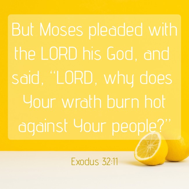 But Moses pleaded with the LORD his God, and said, “LORD, why does Your wrath burn hot against Your people?” - Exodus 32:11