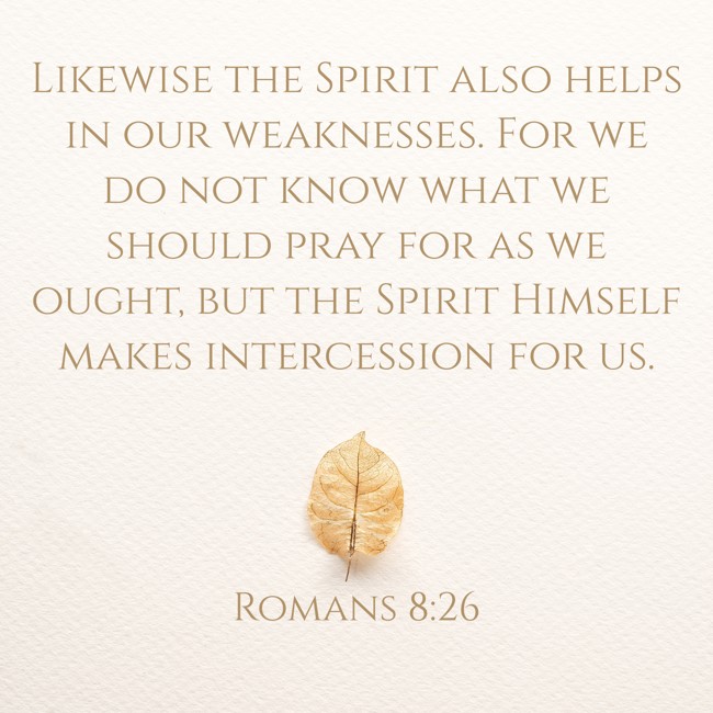 Likewise the Spirit also helps in our weaknesses. For we do not know what we should pray for as we ought, but the Spirit Himself makes intercession for us. - Romans 8:26