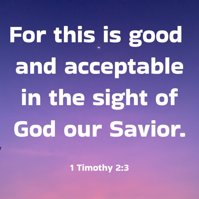 For this is good and acceptable in the sight of God our Savior. - 1 Timothy 2:3