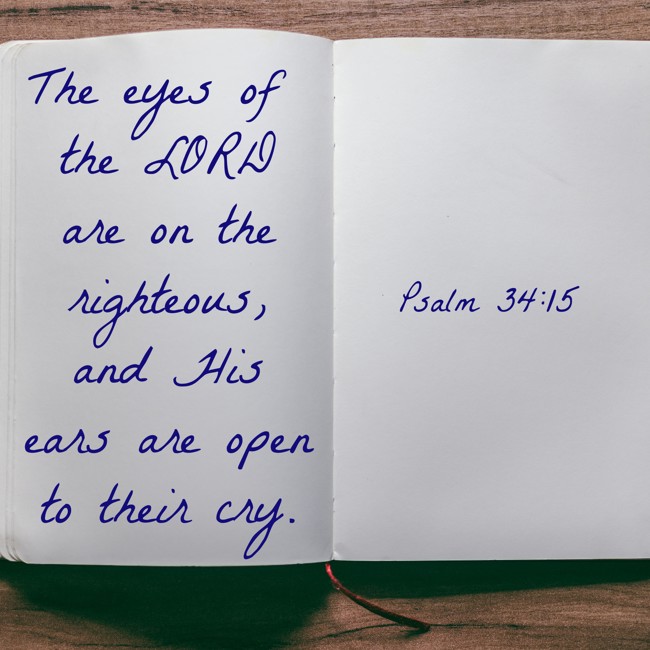 The eyes of the LORD are on the righteous, and His ears are open to their cry. - Psalm 34:15
