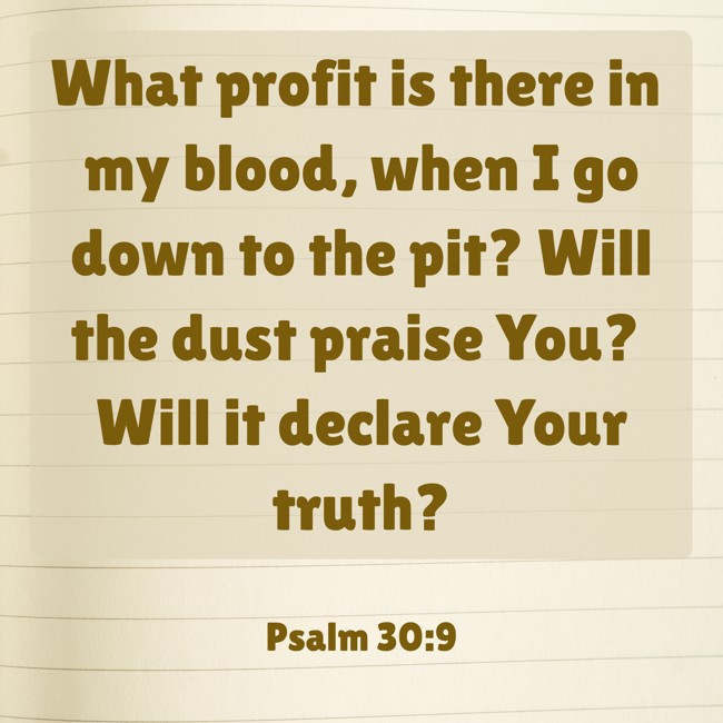 What profit is there in my blood, when I go down to the pit? Will the dust praise You? Will it declare Your truth? - Psalm 30:9