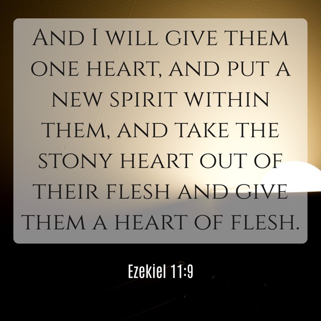 And I will give them one heart, and put a new spirit within them, and take the stony heart out of their flesh and give them a heart of flesh. - Ezekiel 11:9