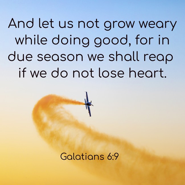 And let us not grow weary while doing good, for in due season we shall reap if we do not lose heart. - Galatians 6:9