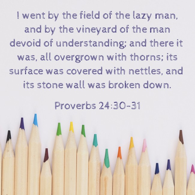 I went by the field of the lazy man, and by the vineyard of the man devoid of understanding; and there it was, all overgrown with thorns; its surface was covered with nettles, and its stone wall was broken down. - Proverbs 24:30-31