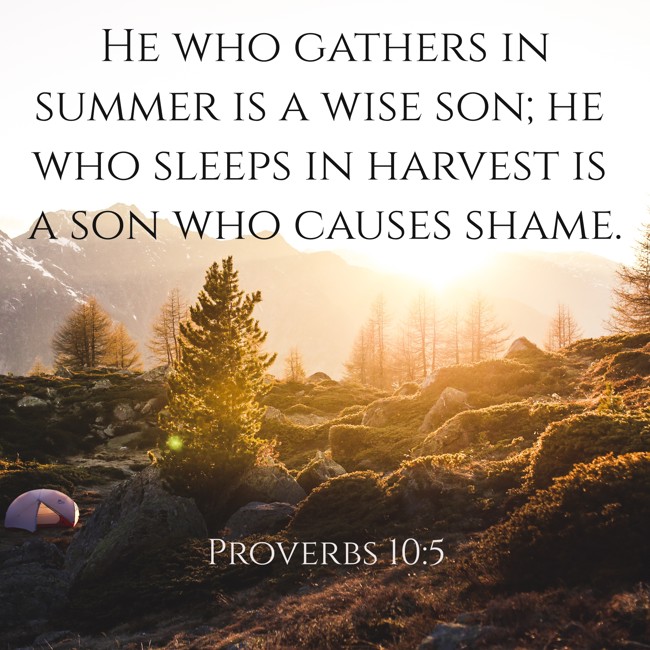 He who gathers in summer is a wise son; he who sleeps in harvest is a son who causes shame. - Proverbs 10:5