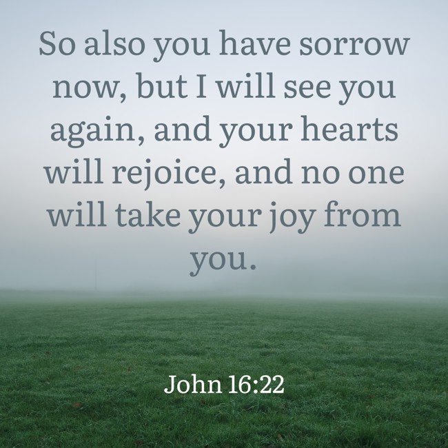  So also you have sorrow now, but I will see you again, and your hearts will rejoice, and no one will take your joy from you.   - John 16:22 