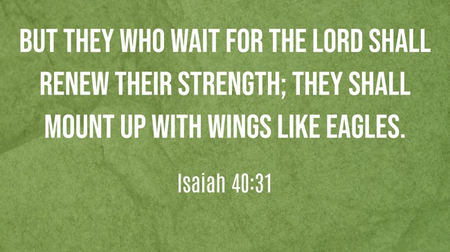  But they who wait for the LORD shall renew their strength; they shall mount up with wings like eagles.   - Isaiah 40:31 