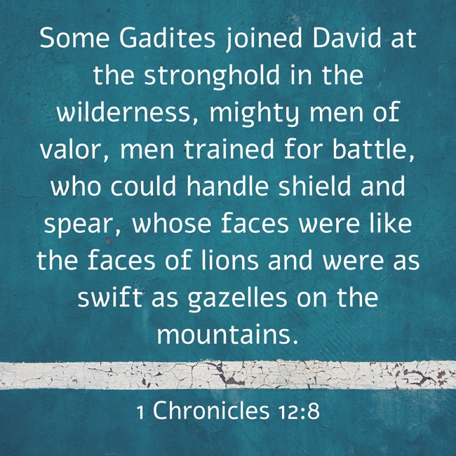 Some Gadites joined David at the stronghold in the wilderness, mighty men of valor, men trained for battle, who could handle shield and spear, whose faces were like the faces of lions and were as swift as gazelles on the mountains. - 1 Chronicles 12:8