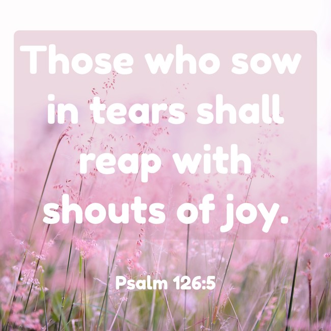  Those who sow in tears shall reap with shouts of joy.   - Psalm 126:5 