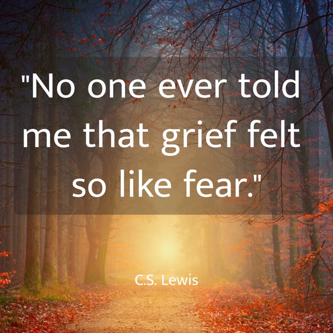  No one ever told me that grief felt so like fear.   - C.S. Lewis 