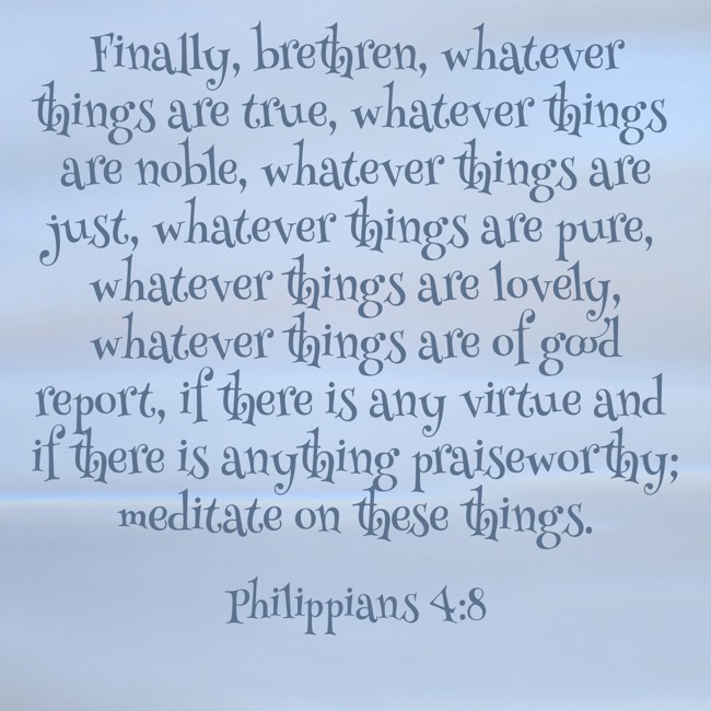 Finally, brethren, whatever things are true, whatever things are noble, whatever things are just, whatever things are pure, whatever things are lovely, whatever things are of good report, if there is any virtue and if there is anything praiseworthy; meditate on these things. - Philippians 4:8