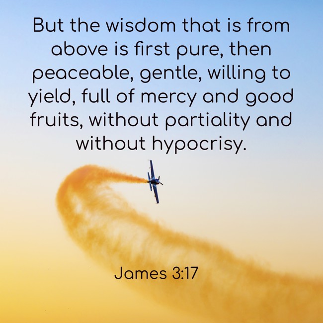 But the wisdom that is from above is first pure, then peaceable, gentle, willing to yield, full of mercy and good fruits, without partiality and without hypocrisy. - James 3:17