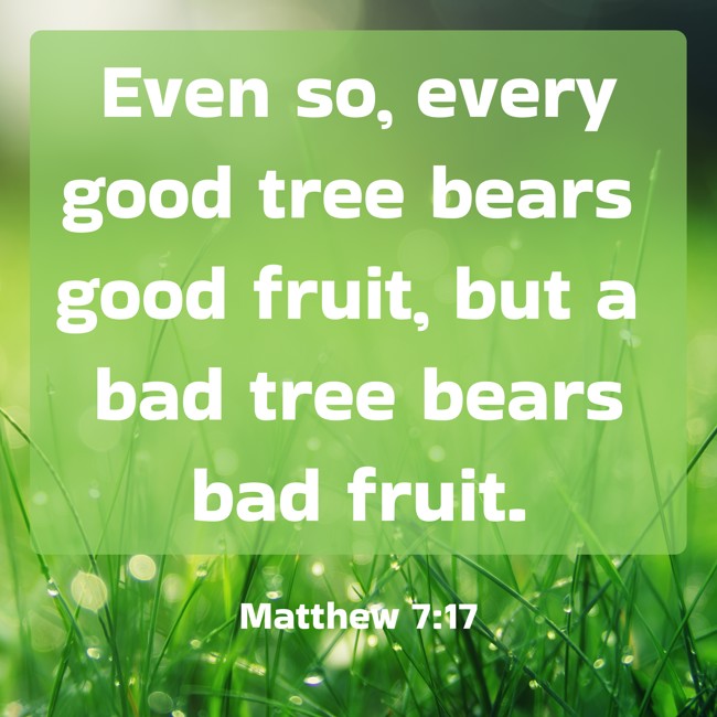 Even so, every good tree bears good fruit, but a bad tree bears bad fruit. - Matthew 7:17