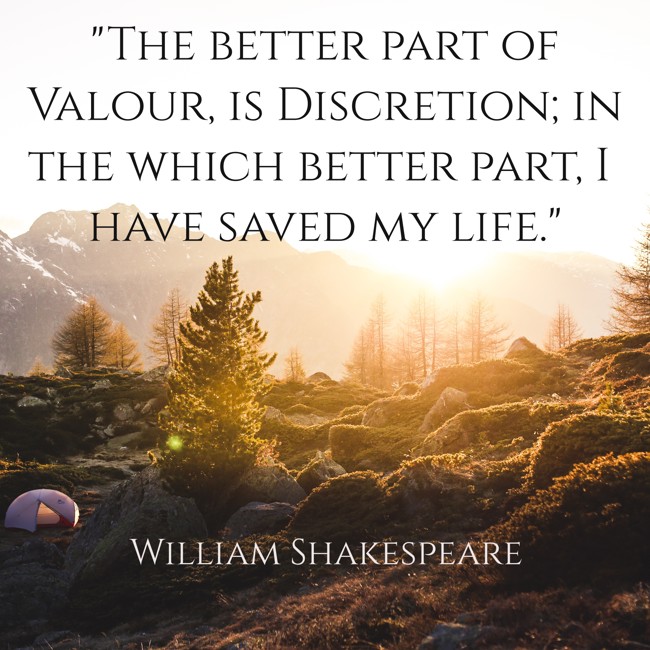 The better part of Valour, is Discretion; in the which better part, I have saved my life. - William Shakespeare