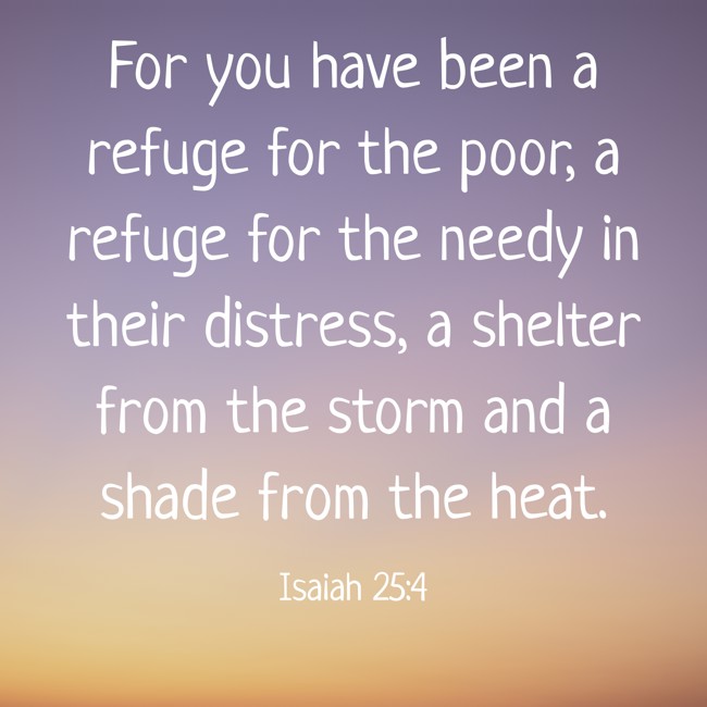 For you have been a refuge for the poor, a refuge for the needy in their distress, a shelter from the storm and a shade from the heat. - Isaiah 25:4