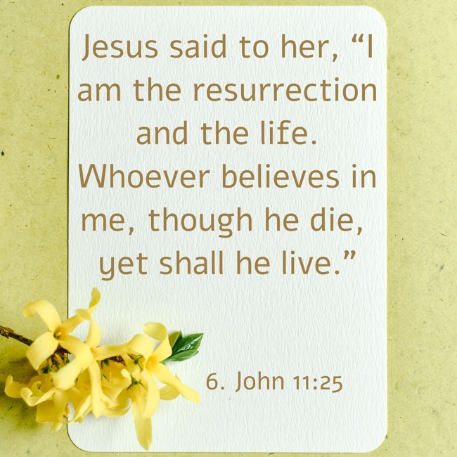 Jesus said to her, “I am the resurrection and the life. Whoever believes in me, though he die, yet shall he live.” - 6. John 11:25