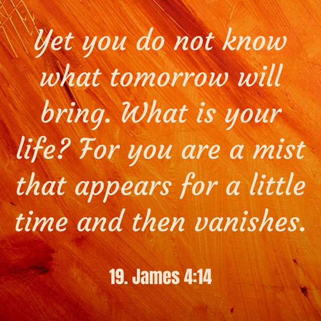 Yet you do not know what tomorrow will bring. What is your life? For you are a mist that appears for a little time and then vanishes. - 19. James 4:14