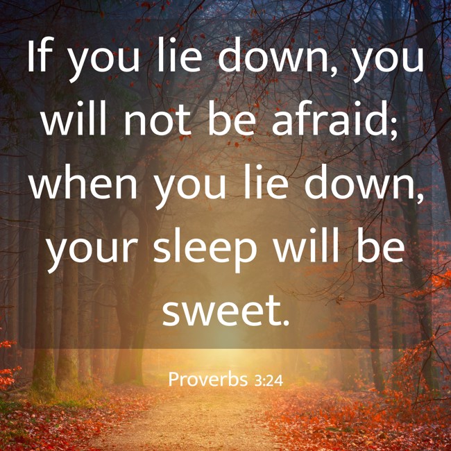 If you lie down, you will not be afraid; when you lie down, your sleep will be sweet. - Proverbs 3:24