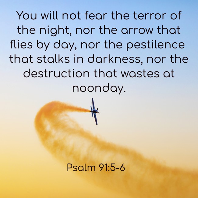 You will not fear the terror of the night, nor the arrow that flies by day, nor the pestilence that stalks in darkness, nor the destruction that wastes at noonday. - Psalm 91:5-6