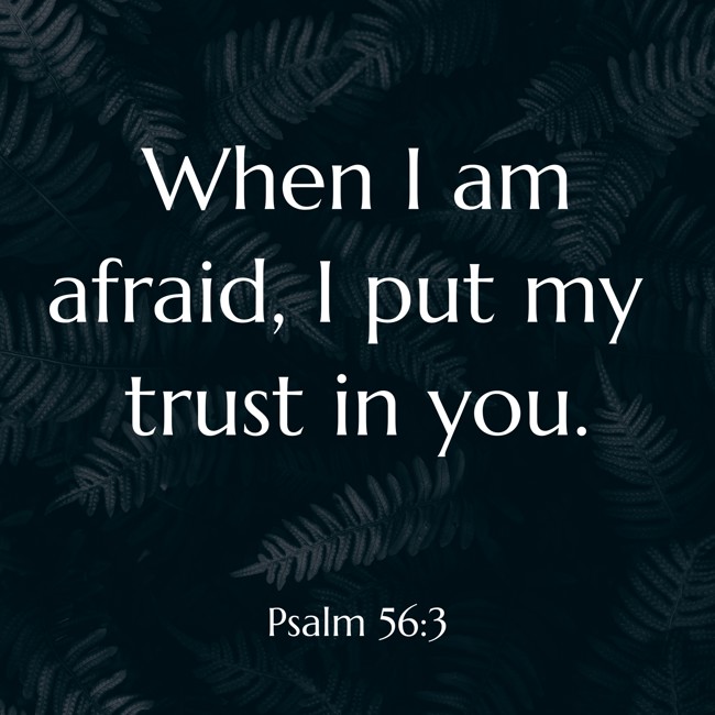 When I am afraid, I put my trust in you. - Psalm 56:3