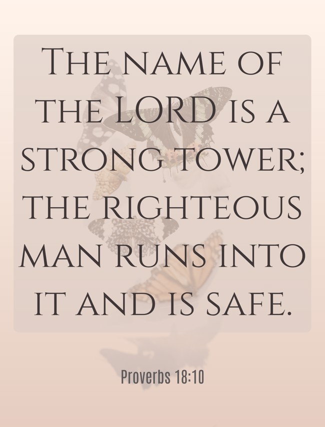The name of the LORD is a strong tower; the righteous man runs into it and is safe. - Proverbs 18:10