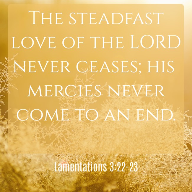 The steadfast love of the LORD never ceases; his mercies never come to an end. - Lamentations 3:22-23