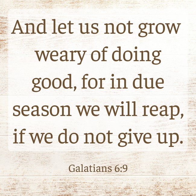 And let us not grow weary of doing good, for in due season we will reap, if we do not give up. - Galatians 6:9
