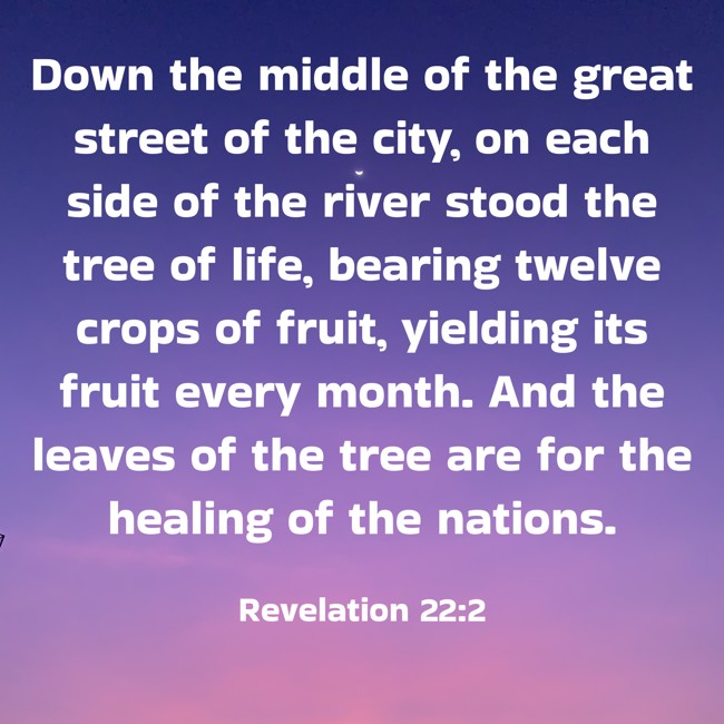 Down the middle of the great street of the city, on each side of the river stood the tree of life, bearing twelve crops of fruit, yielding its fruit every month. And the leaves of the tree are for the healing of the nations. - Revelation 22:2