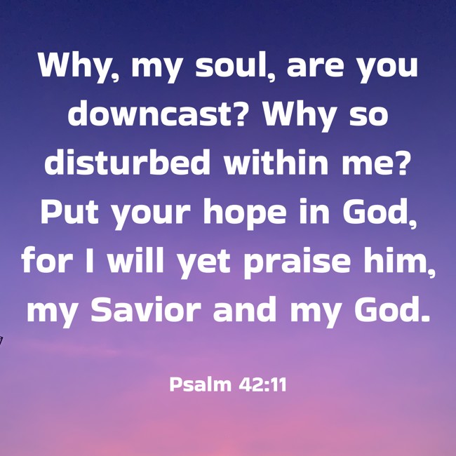 Why, my soul, are you downcast? Why so disturbed within me? Put your hope in God, for I will yet praise him, my Savior and my God. - Psalm 42:11
