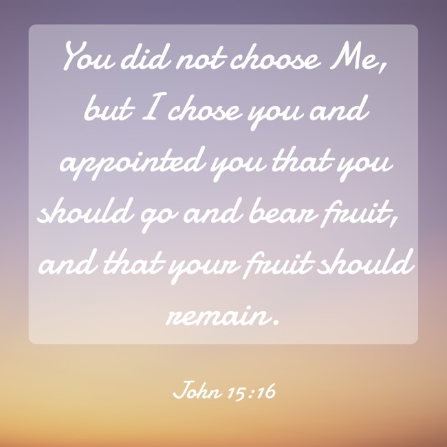  You did not choose Me, but I chose you and appointed you that you should go and bear fruit, and that your fruit should remain.   - John 15:16 