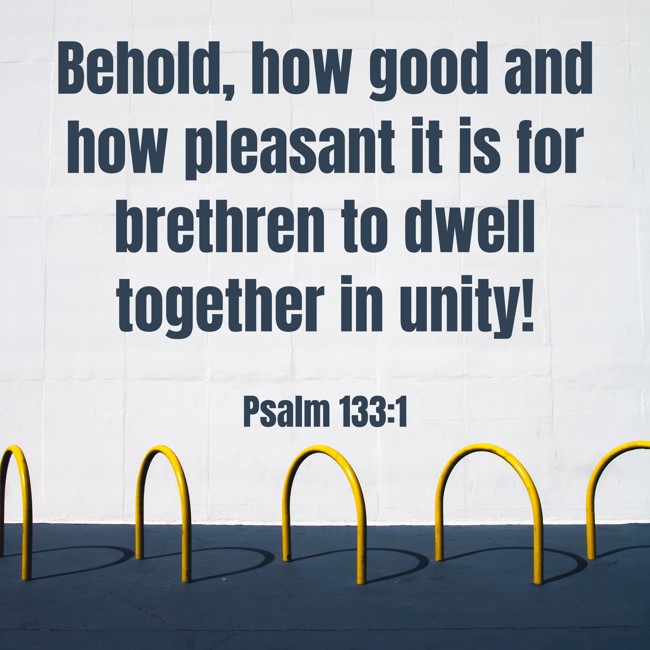 Behold, how good and how pleasant it is for brethren to dwell together in unity! - Psalm 133:1