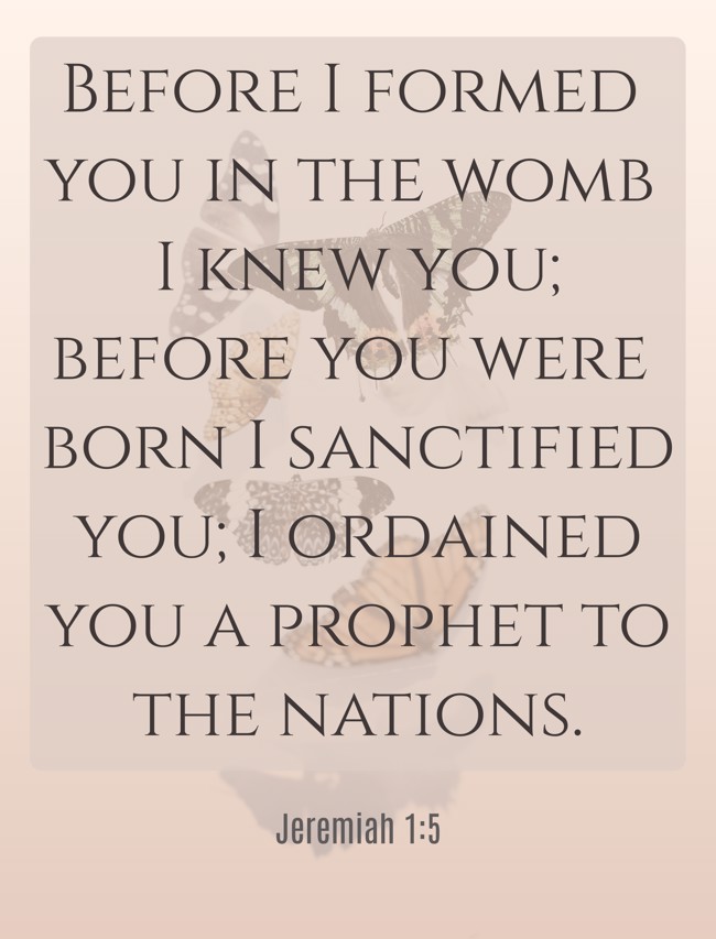  Before I formed you in the womb I knew you; before you were born I sanctified you; I ordained you a prophet to the nations.   - Jeremiah 1:5 