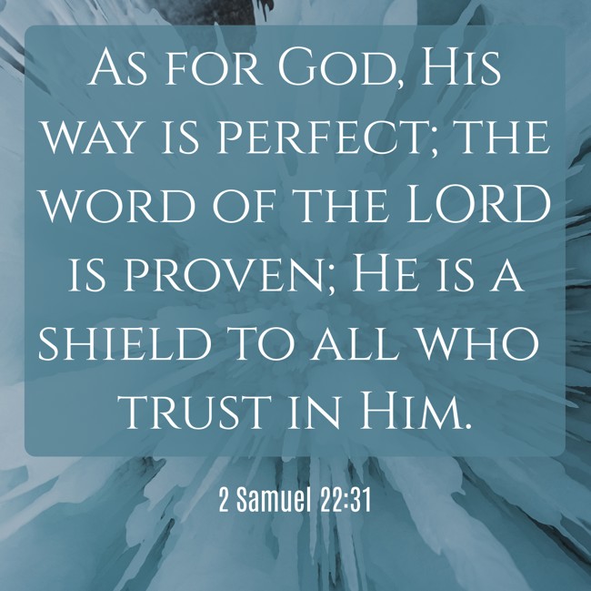  As for God, His way is perfect; the word of the LORD is proven; He is a shield to all who trust in Him.   - 2 Samuel 22:31 
