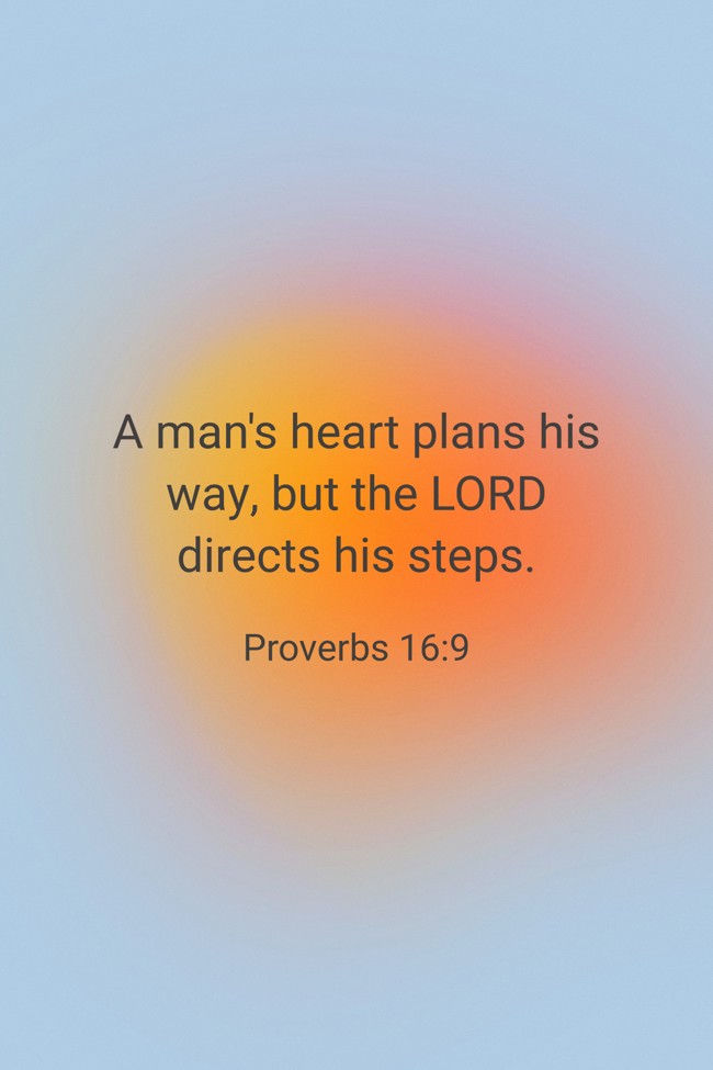 A man's heart plans his way, but the LORD directs his steps. - Proverbs 16:9