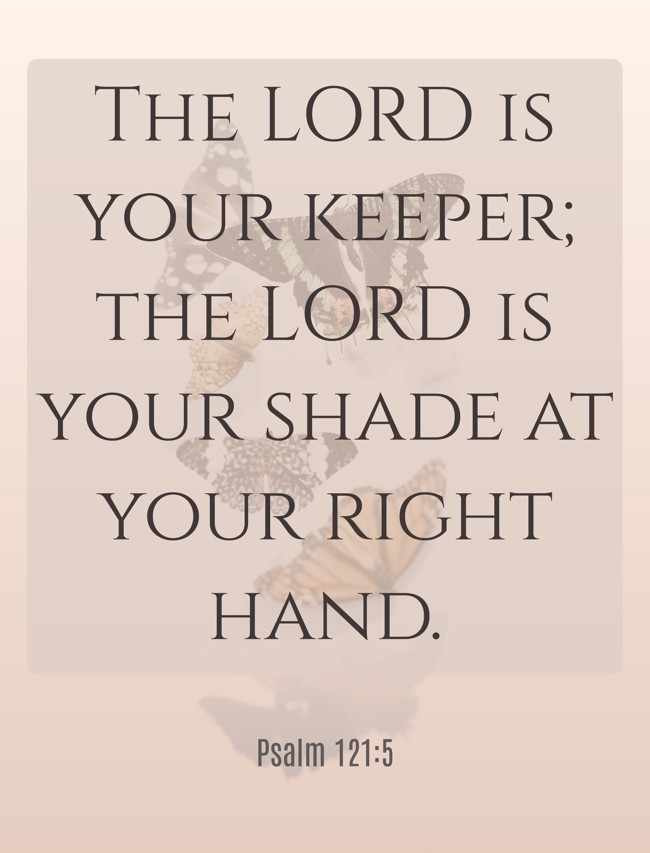 The LORD is your keeper; the LORD is your shade at your right hand. - Psalm 121:5