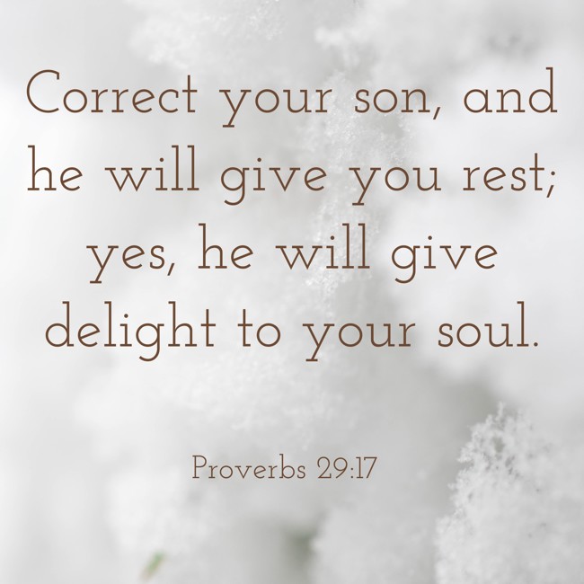 Correct your son, and he will give you rest; yes, he will give delight to your soul. - Proverbs 29:17