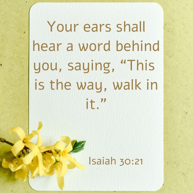 Your ears shall hear a word behind you, saying, “This is the way, walk in it.” - Isaiah 30:21