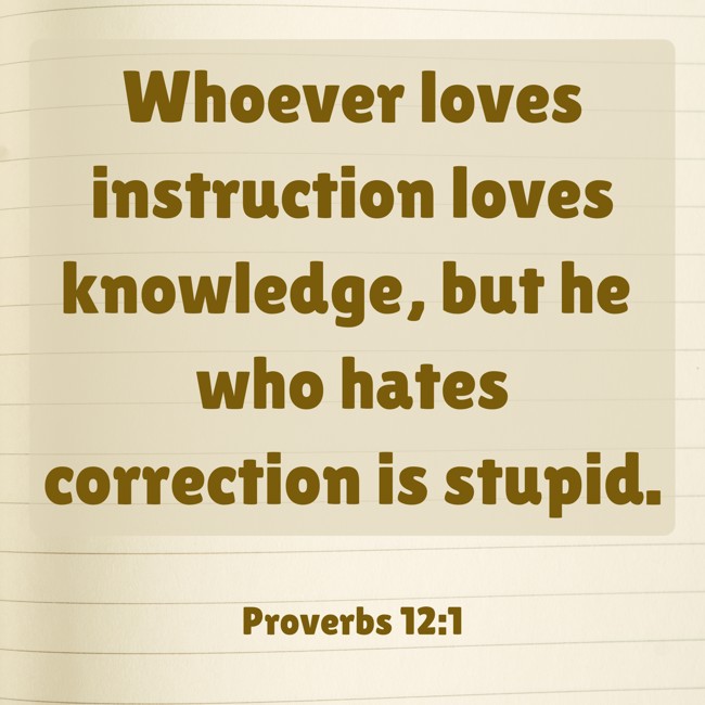 Whoever loves instruction loves knowledge, but he who hates correction is stupid. - Proverbs 12:1