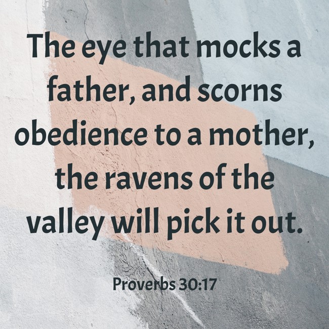 The eye that mocks a father, and scorns obedience to a mother, the ravens of the valley will pick it out. - Proverbs 30:17