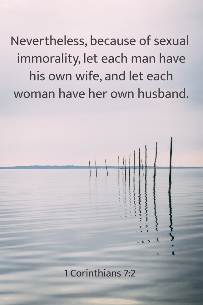 Nevertheless, because of sexual immorality, let each man have his own wife, and let each woman have her own husband. - 1 Corinthians 7:2